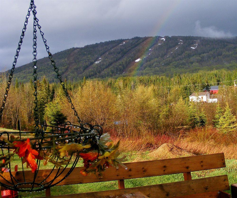 Oasis Du Grand Fond Inc Villa La Malbaie Eksteriør billede